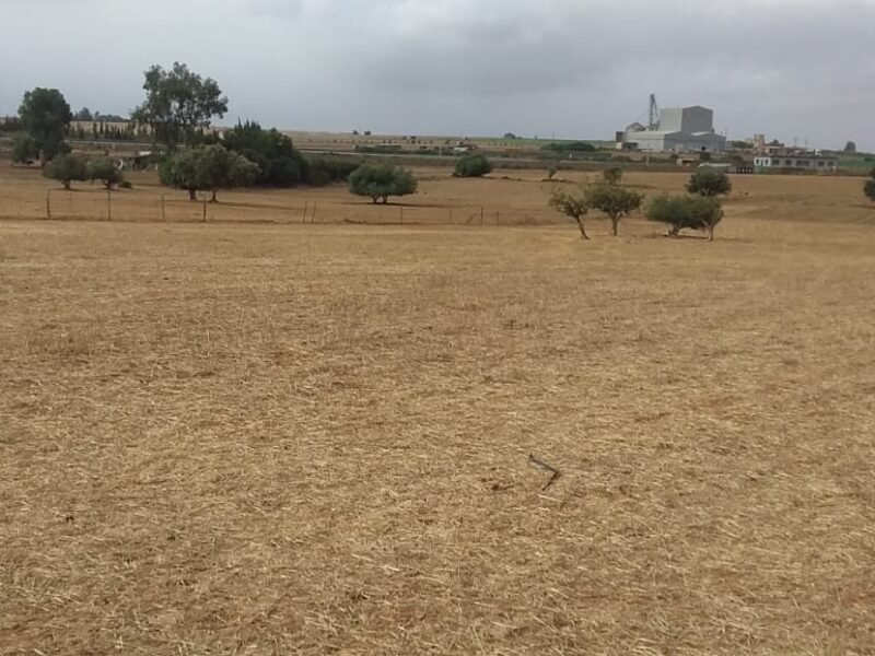 Terre agricole
